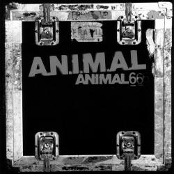 Raza castigada del álbum 'Animal 6'