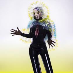 Atom dance del álbum 'Vulnicura'