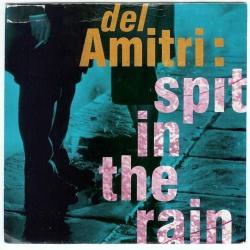 Spit In The Rain del álbum 'Spit in the Rain'