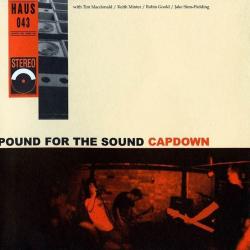What doesn't kill you del álbum 'Pound for the Sound'