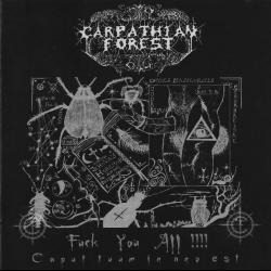 The Frostbitten Woodlands Of Norway del álbum 'Fuck You All!!!!'