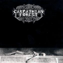 Death Triumphant del álbum 'Black Shining Leather'