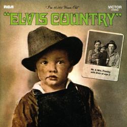 Make The World Go Away del álbum 'Elvis Country (I'm 10,000 Years Old)'