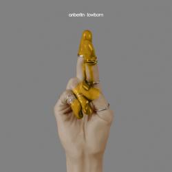 Hearing Voices del álbum 'Lowborn'