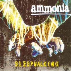 Sleepwalking