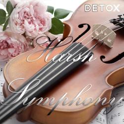 Harsh Symphony