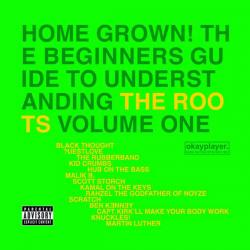 Home Grown: The Beginner's Guide To Understanding The Roots Volume 1