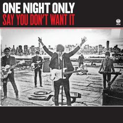 Say You Don't Want It (single)