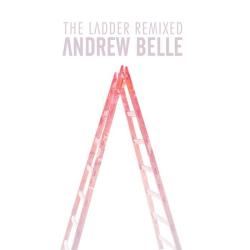 The Ladder (Remixed)