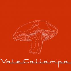 Vale Callampa - EP