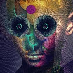 The Insulated World