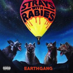 A.w.o.l. del álbum 'Strays with Rabies'