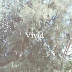 Entering (Intro) del álbum 'Vivid'