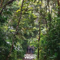 El Mono y la Culebra del álbum 'Vikorg'