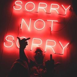 Rip del álbum 'Sorry Not Sorry'