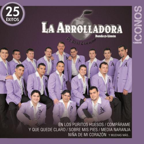 Íconos 25 Éxitos - Amandonos