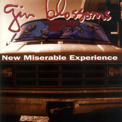 Until I Fall Away Letra Gin Blossoms