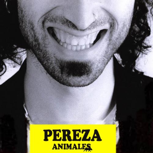 Animales - Madrid