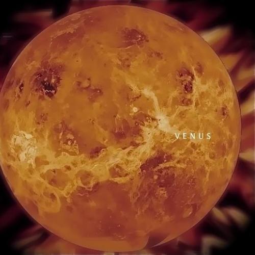 Venus - A Certain Someone