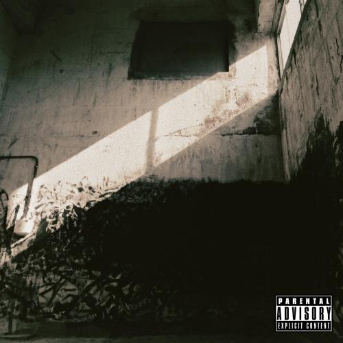 STACKED RUBBISH - Hyena