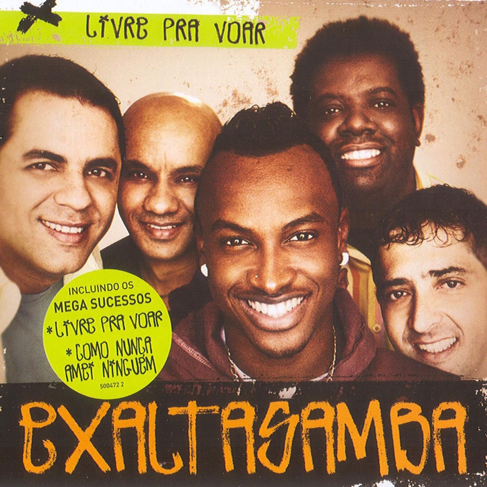 Me Apaixonei Pela Pessoa Errada - Letra - Exaltasamba - Musica.com
