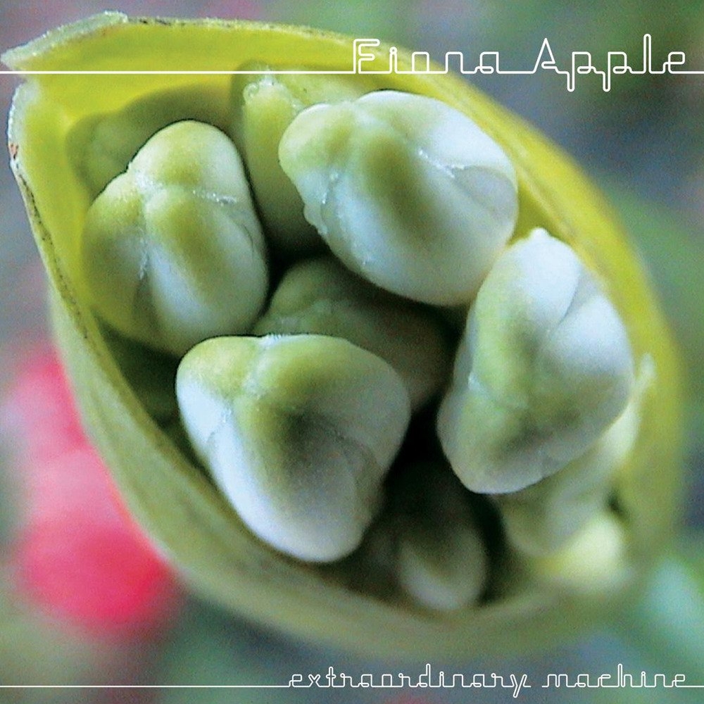 not-about-love-letra-fiona-apple-musica