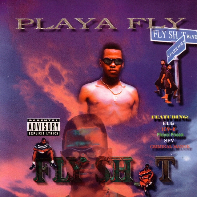 Nappy Hair Gold Teeth Letra Lyrics Playa Fly Musica Com