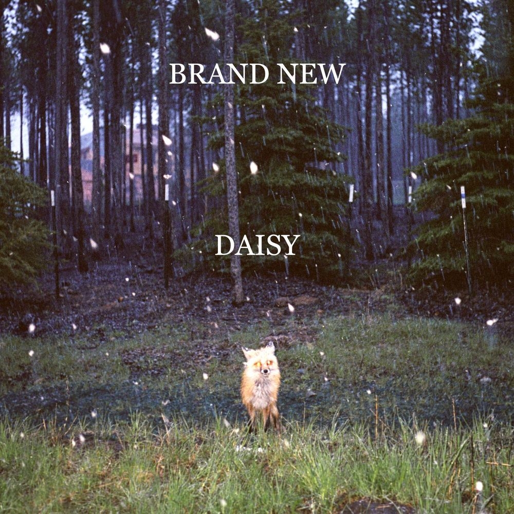 Daisy Letra Brand New