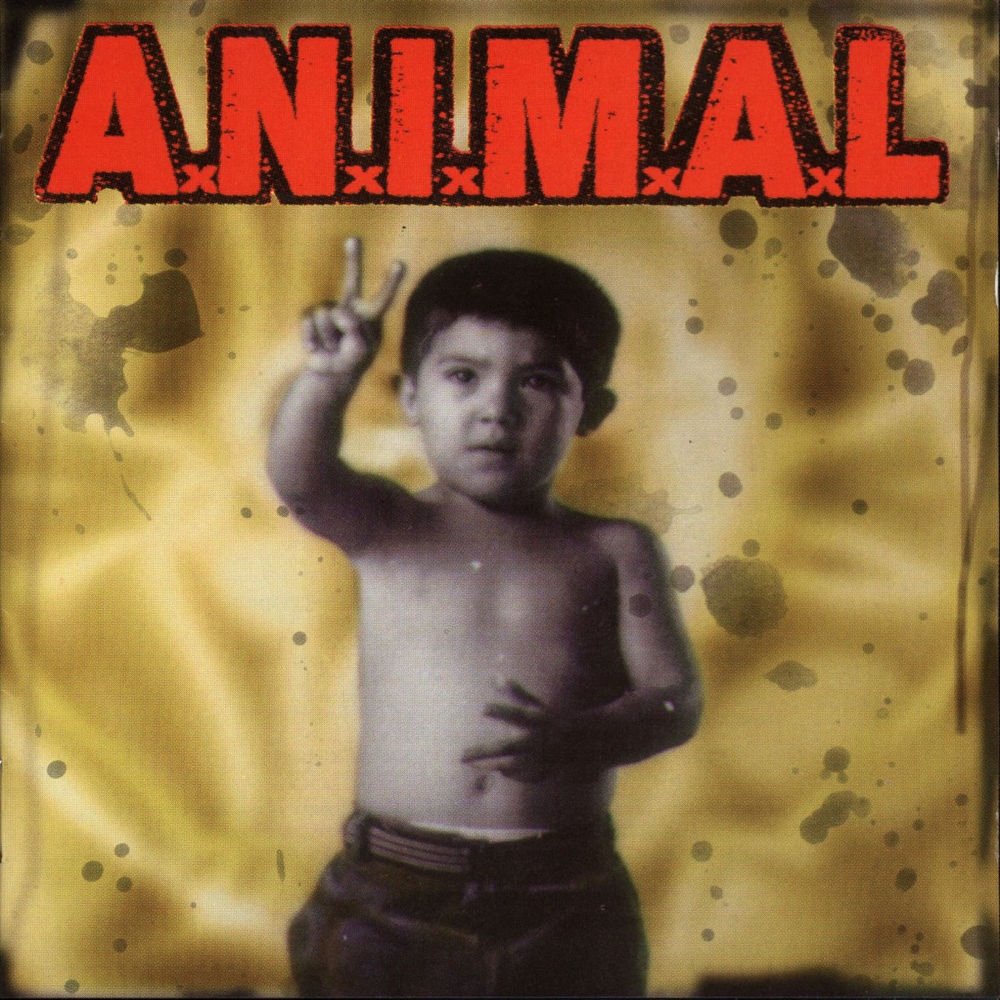 A Lo Loco Se Vive Mejor Cancion