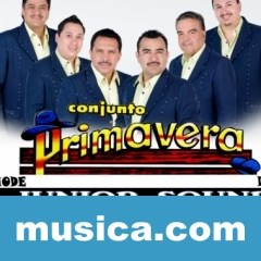 Conjunto Primavera