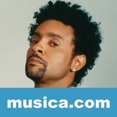 Shaggy