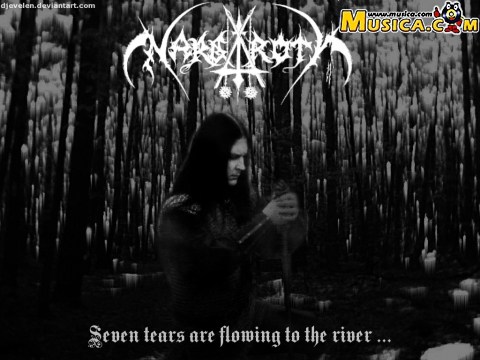 Possessed By Black Fucking Metal de Nargaroth