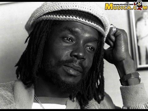 Not Gonna Give Up de Peter Tosh
