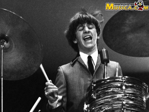 Coochy coochy (short version) de Ringo Starr