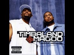 Luv 2 Luv U (remix) de Timbaland And Magoo