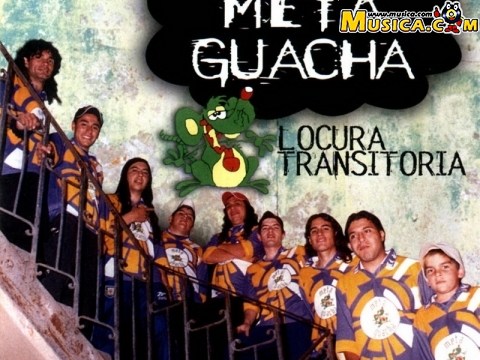Meta Guacha