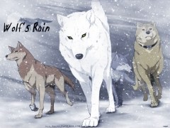 Run wolf warrior, run de Wolf's Rain