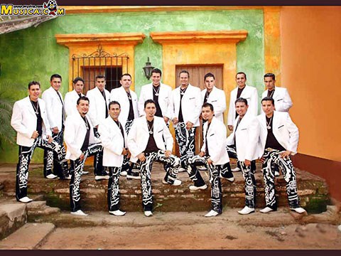 Banda MS