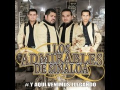 El Pedron Antrax de Los Admirables de Sinaloa