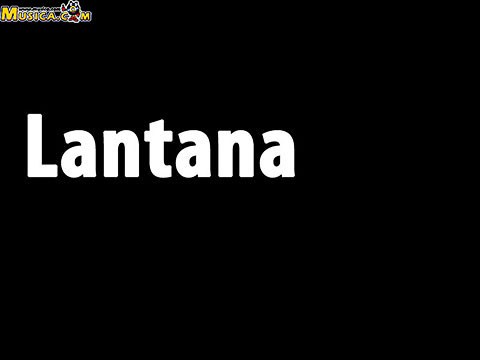 Hablame de Lantana