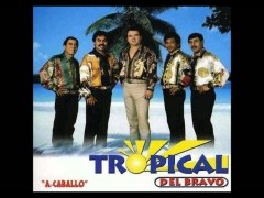 Tropical Del Bravo