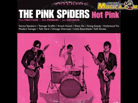 Back To The Middle de Pink Spiders