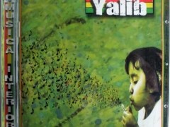 Confront de Yalib