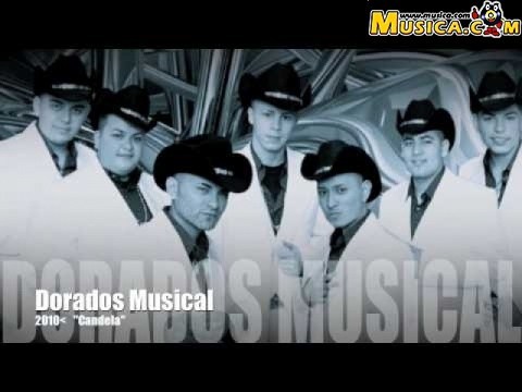 Dorados Musical
