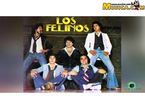 Flor morena LETRA - Los Felinos 