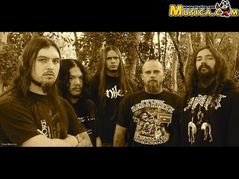Womb Full Of Scabs de Disgorge (USA)