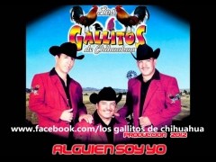 Los Gallitos De Chihuahua