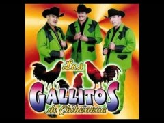 Los Gallitos De Chihuahua
