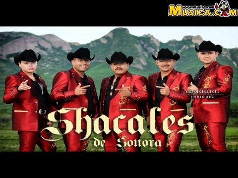 Shacales De Sonora