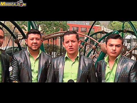 Biografia De Maximo Grado Musica Com biografia de maximo grado musica com